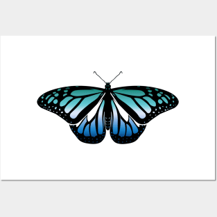 Gay Man Pride Butterfly Posters and Art